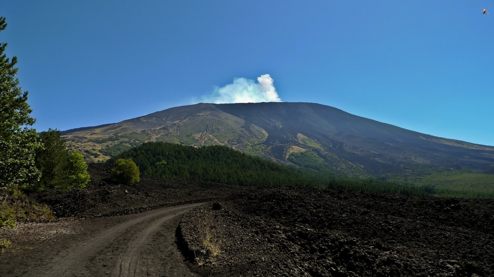 agriturismo viola nel parco etna